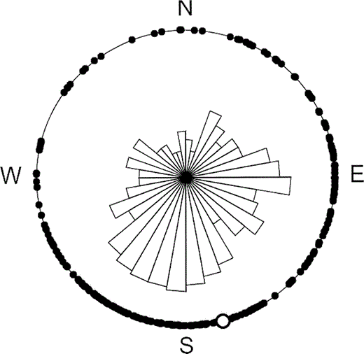 Figure 1. Distribution of the orientations of Red-naped Sapsucker cavities in aspen trees in western Colorado. Each point on the perimeter of the circle represents the orientation of an individual cavity (n = 272). The unfilled circle represents the mean bearing of all cavities (166°). In the center, a rose diagram divided into 10-degree bins shows the relative distribution of cavity orientations about the compass
