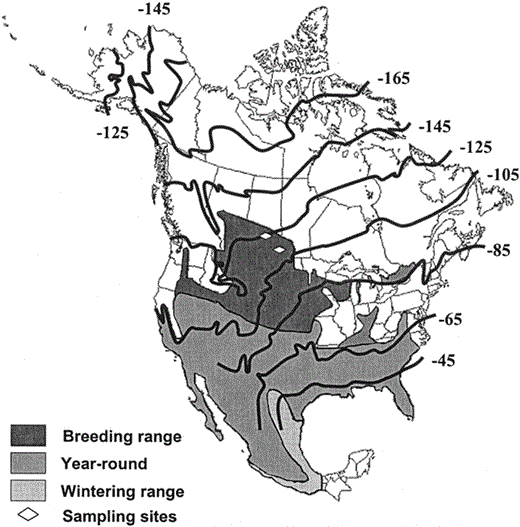 Breeding, wintering, and year-round distribution of the Loggerhead Shrike in North America, and deuterium (δD) contour lines based on a geographical information system-based model of δD values of feathers for the average growing season (Meehan et al. 2004).