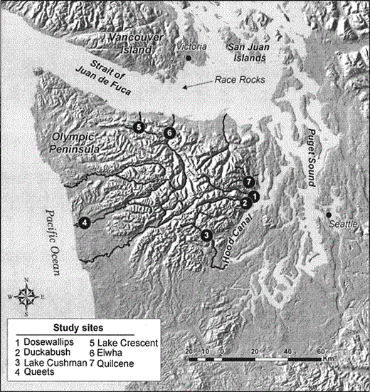 Locations of sampling sites used for radar observations of Marbled Murrelets on the Olympic Peninsula, Washington, 1996–2004.