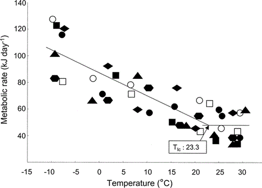 Scholander model indicating relationship of ambient temperature to metabolic rate for seven incubating Semipalmated Plovers under postabsorptive, resting conditions.