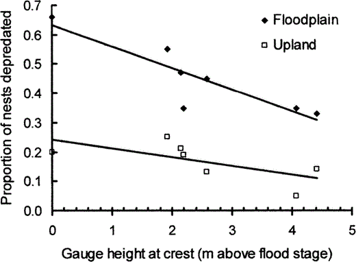 The proportion of Wood Duck nests depredated annually decreased as river height at crest increased above flood stage at Cape Girardeau, a station near the study site in southern Illinois, 1995–2002.
