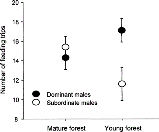 The interactive effect of habitat quality and social dominance on the number of provisioning trips made by male Black-capped Chickadees in 2 hr of nest observation in central British Columbia.