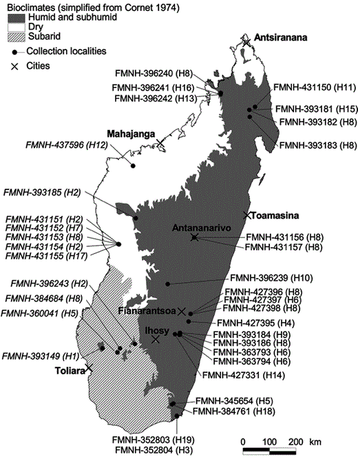 Map of Madagascar indicating sampling localities for Malagasy Scops-Owls with an overlay of Cornet's (1974) bioclimatic zones.Otus rutilus (rufous morph) is found in humid and subhumid areas while O. madagascariensis (gray morph) is found in subarid and dry areas. Using the morphological and vocal characters outlined in Rasmussen et al. (2000), the Field Museum of Natural History (FMNH) specimen numbers in italics are referable to O. madagascariensis and those in standard script to O. rutilus. Numbers in parentheses indicate haplotype number.