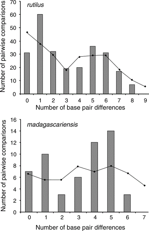 Mismatch distribution for the Otus rutilus and O. madagascariensis populations obtained with program Arlequin version 2.0 (Schneider et al. 2000). Gray bars represent observed data, lines represent simulated data used to test goodness-of-fit to the sudden population expansion model. A model of sudden population expansion could not be rejected for either taxon (O. rutilus: test of goodness-of-fit, sum of squared deviation = 0.02, P = 0.85; O. madagascariensis: test of goodness-of-fit, sum of squared deviation = 0.04, P = 0.30).