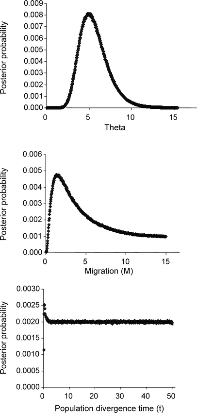 Posterior distributions of θ (theta, population size scaled to mutation rate), M (migration rate between the two taxa after divergence), and t (population divergence time) for Malagasy Scops-Owls based on analysis of 1449 bp of mtDNA using program MDIV (Nielsen 2002). Two different simulations were conducted (10 and 50 million generations) and the result from the longer run is presented here. Priors were set as Tmax = 15 and Mmax = 10 and a Hasegawa-Kishino-Yane (HKY) model was used in all analyses. The posterior distribution of the migration rate indicates the occurrence of gene flow between populations assigned to Otus rutilus and O. madagascariensis.