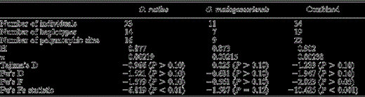 Number of haplotypes, haplotype diversity (H), nucleotide diversity (π), and Tajima's D and Fu's statistics of selective neutrality obtained for each taxon of Malagasy Scops-Owl (Otus rutilus and Otus madagascariensis) as well as for all samples combined. Otus rutilus refers to populations found in humid and subhumid forests of eastern Madagascar and Otus madagascariensis refers to populations inhabiting arid areas and dry forests from western Madagascar (see Fig. 1 for exact sampling localities). Fu's D and F and Tajima's D-values reveal that the mtDNA sequences conform to neutral expectations.