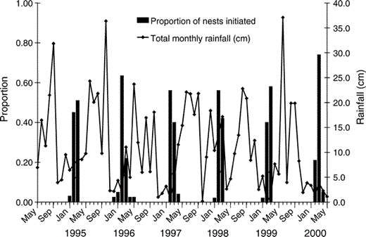 During 1995–2000, most pairs of Red-shouldered Hawks at the MacArthur Agro-Ecology Research Center in south-central Florida laid eggs during the dry season, January through April, following the rainy summer season.