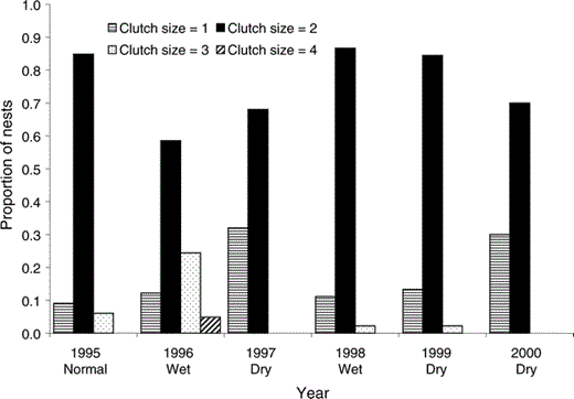 Most pairs of Red-shouldered Hawks at the MacArthur Agro-Ecology Research Center in south-central Florida laid two-egg clutches each year, in 1995–2000. Clutches of three or four eggs were recorded primarily during normal to wet years, and higher proportions of one-egg clutches were seen in dry years (n = 209 known clutches). Wet or dry is defined as ≥2 times the standard error (approximately 10%) either above or below the 20-year average total May–April rainfall at the site.
