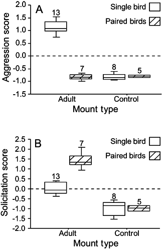 Scores of (A) aggression and (B) solicitation responses by single and paired individuals to adult-plumaged and control mounts by Monarcha browni on 20 territories, New Georgia, Solomon Islands in 2000 and 2001. Controls were presented on 13 territories. Sample sizes are given above each category.