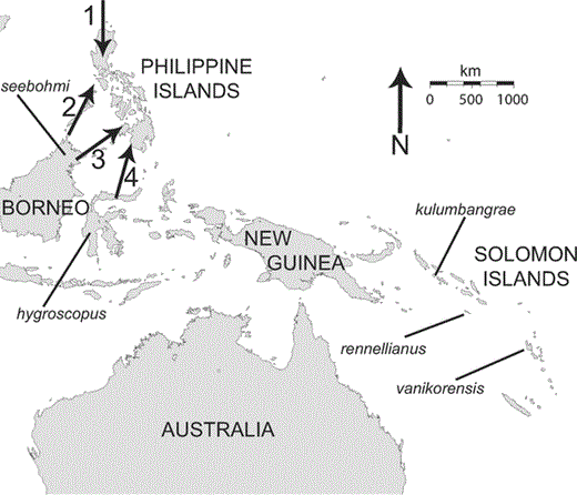 The landmasses of the southwestern Pacific. The five labeled subspecies of Island Thrush (Turdus poliocephalus) indicate the locations of individuals sampled to test the monophyly of Philippine populations (Fig. 2). Arrows labeled 1–4 represent colonization routes of Philippine organisms proposed by Dickerson (1928).