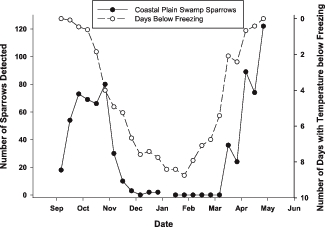 The average number of Coastal Plain Swamp Sparrows observed per survey within 10-day periods (black circles) plotted against the average number of days with minimum temperatures below 0 °C in the same period for a weather station 20 km from the study area (white circles). Data for each period are summed for the two winters.