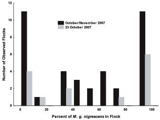 The proportion of the Coastal Plain subspecies in Swamp Sparrow flocks (3–11 birds per flock) during the fall migration of 2007 and for the single date 23 October when the overall abundance ratio of the two subspecies was 50:50.