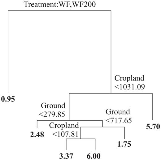 Classification and regression tree showing the relationship between bird species richness and the studied treatments (i.e., WF, WF200, cropland, secondary vegetation), seasons (i.e., spring, autumn), and additional variables (i.e., live fences, patches of secondary vegetation, small agricultural plots, bare ground).