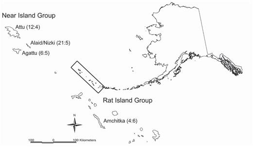 Locations of Common Eiders sampled on the Aleutian Islands, Alaska, with sample sizes shown as sex ratios (male: female) in parentheses.