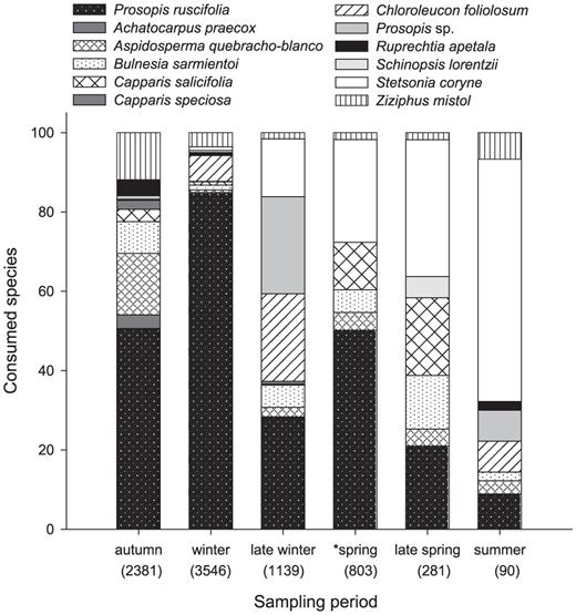 Plant species from which the White-fronted Woodpecker consumed sap in 10 territories in the semiarid Chaco during six periods of the year, expressed as percentage of time invested in sap consumption during the period (total time of observation of sap feeding in minutes is indicated in parentheses). *Data for spring include only five territories, so spring data cannot be compared those for other seasons because of the difference in plants available.
