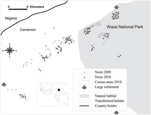 Location of the study area in northern Cameroon (inset), including the location of occupied Grasshopper Buzzard nests in 2009 and 2010 and census areas used to assess landscape correlates of nest density in 2010.