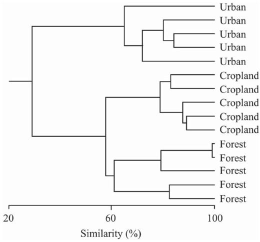 Multivariate cluster analysis (Euclidean distance—single linkage) showing similarity of traits of the three habitats sampled around Morelia, Mexico: forest edge, cropland, and urban.