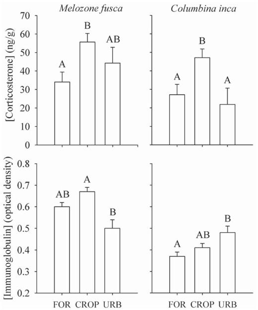 Values of corticosterone and immunoglobulin concentration (mean ± SE) for Melozone fusca and Columbina inca at forest edges, in croplands, and in urban habitat in and near Morelia, Mexico. Letters above error whiskers represent differences in Newman—Keuls post-hoc range tests (P < 0.05). FOR = forest edge, CROP = cropland, URB = urban.