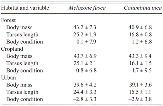 Body mass (g), tarsus length (mm), and body-condition index (mm g-1) (mean ± SD) for Melozone fusca and Columbina inca at forest edges, in cropland, and at urban sites around Morelia, Mexico.