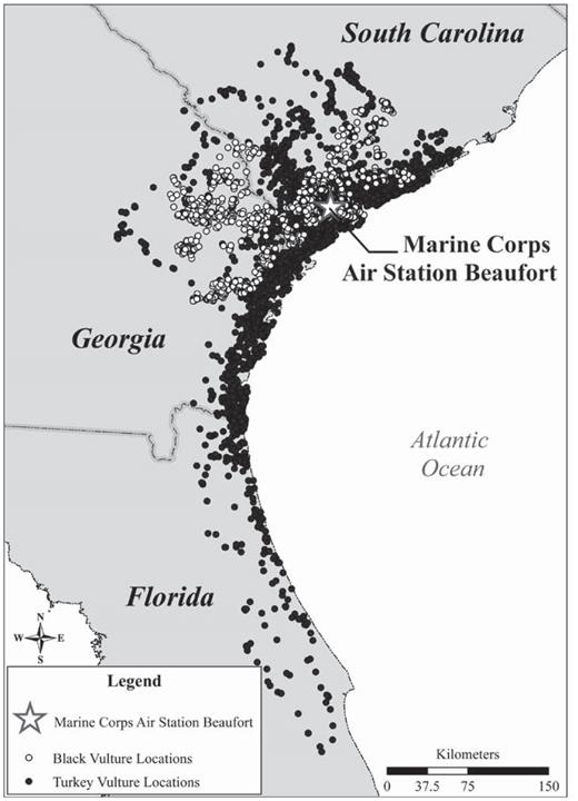 Locations of Black Vultures (white circles) and Turkey Vultures (dark circles) tagged at the Marine Corps Air Station Beaufort, South Carolina, showing movement of the Turkey Vulture to central Florida, 2006–2008.