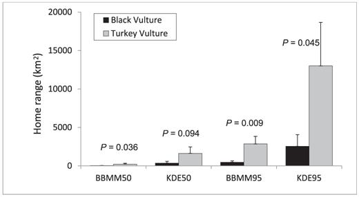 Mean home ranges of Black Vultures (dark gray bars; n = 11) and Turkey Vultures (light gray bars; n = 7) as estimated by Brownian bridge movement models (BBMM) and kernel density estimates (KDE) for 50% and 95% utilization distributions, from birds monitored from 5 to 24 months by GPS satellite telemetry. Capped vertical bars denote 1 standard error. P-values associated with oneway analyses of variance between the species are shown above each pair of bars.