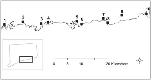 Salt marshes along the Connecticut coast of Long Island Sound where Saltmarsh Sparrow nests were monitored during the summers of 2006 and 2007: 1, Farm River (91 ha); 2, Pine Orchard (50 ha); 3, West River (131 ha); 4, East River (337 ha); 5, Indian River (33 ha); 6, Hammock River (123 ha); 7, Hager Creek (28 ha); 8, Plum Bank (158 ha); 9, Lieutenant River (417 ha); 10, Watt's Island (67 ha).