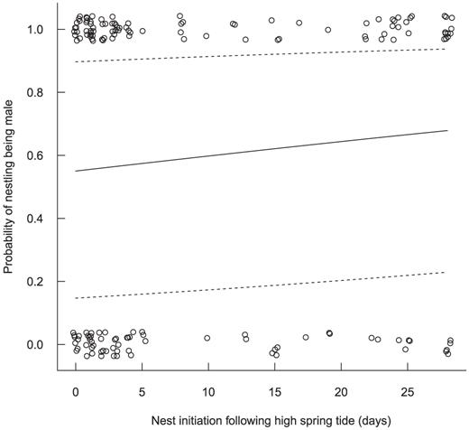 The probability, with 95% confidence intervals, of a Saltmarsh Sparrow nestling being male given the number of days a nest was initiated after the most recent high spring tide (day 0). Male nestlings were produced at a similar rate irrespective of timing (coefficient ± SE = 0.02 ± 0.01, Wald statistic = 1.8, P = 0.18), as assessed via generalized estimating equations accounting for the potential non-independence among siblings.