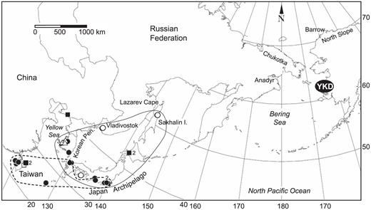 Distribution in Asia of records of Dunlins linked to the Yukon—Kuskokwim Delta, Alaska. Filled circles = locations where birds marked on the YKD were sighted away from Alaska; unfilled circles = locations where birds marked on the YKD were recovered away from Alaska; unfilled triangles = locations where marked birds were seen away from Alaska in spring (April–May); filled squares = locations away from Alaska at which birds were marked by others and seen on the YKD; unfilled squares = locations away from Alaska at which birds were marked by others and recovered on the YKD. Numbers within or next to symbols denote multiple records. Lines encircling regions depict where marked birds were recorded during autumn (September–November; solid line) and during winter (December–March; dashed line).