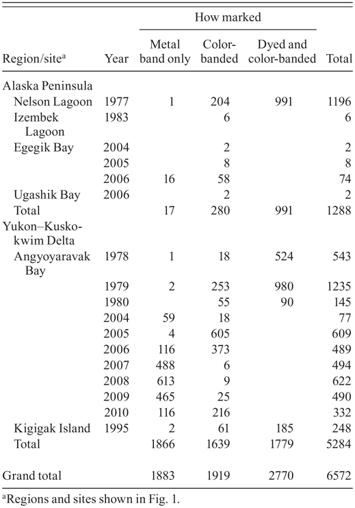 Number of Dunlins captured by site, year, and type of marking, 1977–2010.