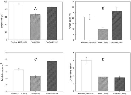 Changes in (A) litter cover (%), (B) green cover (%), (C) total understory stems per m2, and (D) cane stems per m2 in 5-m-radius plots within areas occupied and formerly occupied by Swainson's Warblers at White River National Wildlife Refuge during three periods: preflood years (2005–2007), the flood year (2008), and 1 year postflood (2009). Error bars are ± 1 SE.