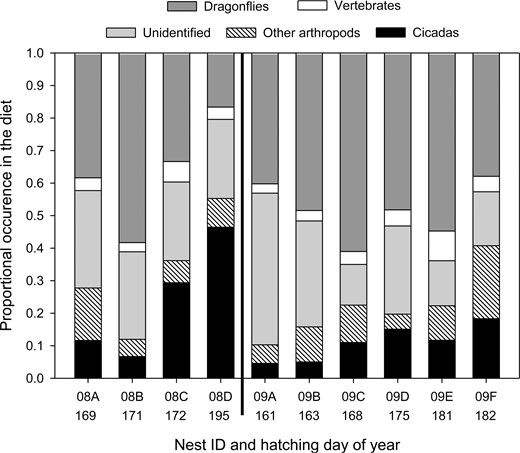 Mississippi Kite nestling diet at 10 nests in White River National Wildlife Refuge, Arkansas, USA, in 2008 (nests to left of solid black line) and 2009 (nests to right of solid black line). In 2008, hatching day 169 = June 17 and hatching day 195 = July 13. In 2009, hatching day 161 = June 10 and hatching day 182 = July 1.