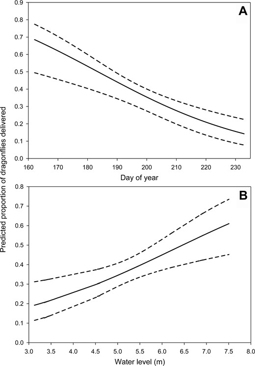 Model-averaged predicted proportion and 95% confidence limits of dragonflies delivered to Mississippi Kite nestlings in relation to (A) day of year (day 160 = June 9 and day 230 = August 18) and (B) water level in White River National Wildlife Refuge, Arkansas, USA, in 2004, 2005, 2008, and 2009. We held water level and year at their mean values when examining the influence of day of year. Likewise, year and day of year were held at their mean values when examining the effect of water level. Prey delivery data from 2004 and 2005 are from Bader and Bednarz (2011).