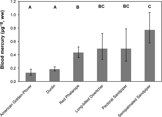 Back-transformed mean ±95% confidence intervals of blood mercury concentrations in shorebirds breeding at Barrow, Alaska, during 2008 and 2009. Sexes combined where applicable. Species sharing a letter do not differ (P > 0.05). Sample size: American Golden-Plover (n = 12), Dunlin (n = 42), Red Phalarope (n = 39), Long-billed Dowitcher (n = 9), Pectoral Sandpiper (n = 6), and Semipalmated Sandpiper (n = 16).