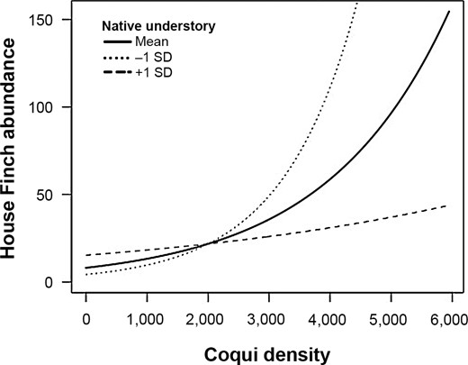 Estimated relationship between House Finch abundance and coqui frog density in surveyed plots on the island of Hawaii, USA, while holding percent native understory at its mean value (solid line), −1 SD (dotted line), and +1 SD (dashed line). For clarity, confidence intervals are not shown, but see Table 3 for confidence intervals associated with estimated slopes for the main and interactive effects on the log scale.