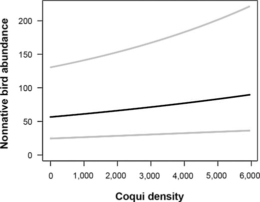Estimated relationship between nonnative bird abundance and coqui frog density (thick black line) in surveyed plots on the island of Hawaii, USA, based on the most supported model (Table 3), while holding percent native understory at its mean value. Pale gray lines denote the 95% confidence interval.