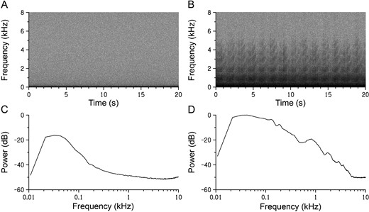 Visualization of acoustic characteristics with spectrogram and power spectra of sounds recorded at Greater Prairie-Chicken leks close to and far from wind turbines near Ainsworth, Nebraska, USA, in 2013 and 2014. Spectrograms are shown of (A) ambient sound recorded at distant locations from the wind energy facility and (B) sound recorded 103 m from a wind turbine at the wind energy facility on quiet mornings with very little wind in March 2014. Recordings were made between 0130 and 0500 hours CDT at both locations. Wind turbine noise is visible in the lower frequencies of the sound recorded near the wind energy facility. Associated power spectra are shown for (C) ambient sound and (D) sound recorded near the wind energy facility. Power is expressed in relation to one dimensionless sample unit, and both spectra have been normalized in relation to the maximum power of the spectrum in D.