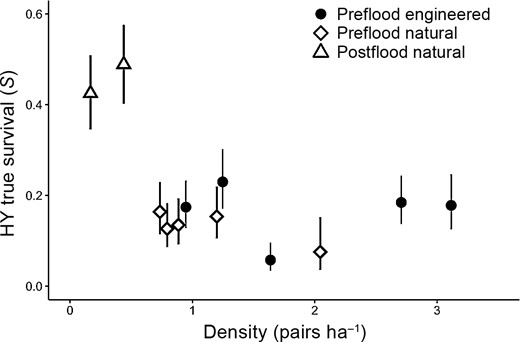 Survival of hatch-year (HY) Piping Plover chicks (from hatching to the following breeding season) in relation to nesting density. Estimates are from chicks that hatched on the Gavins Point Reach of the Missouri River, USA, prior to flooding (2005–2009; preflood engineered and preflood natural sandbar habitat), and following a flood event in 2011 (2012–2014; postflood natural sandbar habitat). Estimates and standard errors are derived from model-averaged parameter estimates and unconditional standard errors from models of HY survival. Error bars represent 95% confidence intervals.