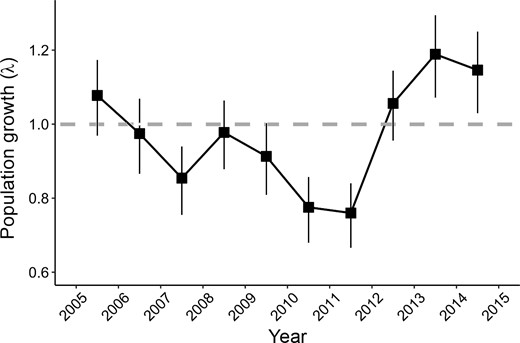 Estimated population growth (λ) of Piping Plovers nesting on the Gavins Point Reach of the Missouri River, USA, 2005–2014. λ was derived from our demographic models. The dashed line represents stationarity (λ = 1), and error bars represent 95% confidence intervals.