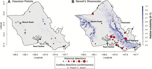 Historical and current observations of (A) Hawaiian Petrels and (B) Newell’s Shearwaters overlaid with projected suitable habitat on Oahu.