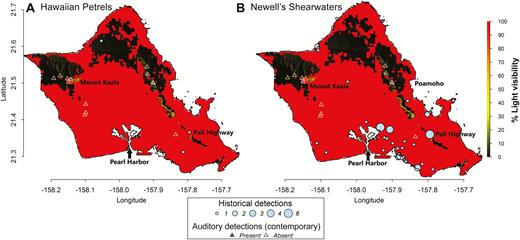Historical and current observations of (A) Hawaiian Petrels and (B) Newell’s Shearwaters overlaid with percentage light visibility.