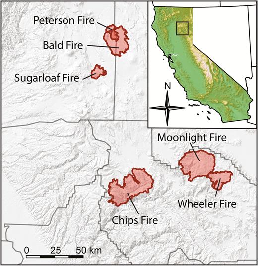 Locations of the 6 wildfires where Black-backed Woodpecker nests were monitored in northern California.