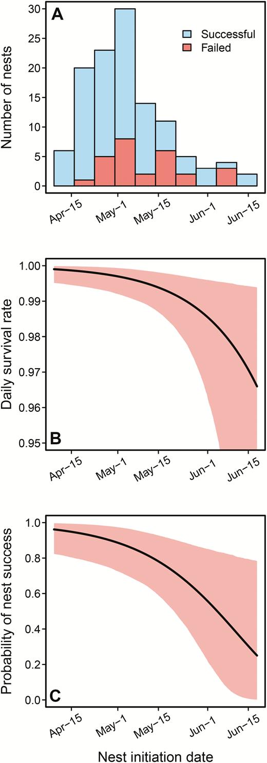 (A) Summary of nest initiation dates from 118 Black-backed Woodpecker nests in post-fire forests, split between successful and failed nests. Line plots show (B) predicted daily survival rate and (C) overall probability of nest success as a function of nest initiation date. Mean relationships are shown as black lines and shaded regions depict 95% CI. Predictions are shown from the best-supported nest survival model.