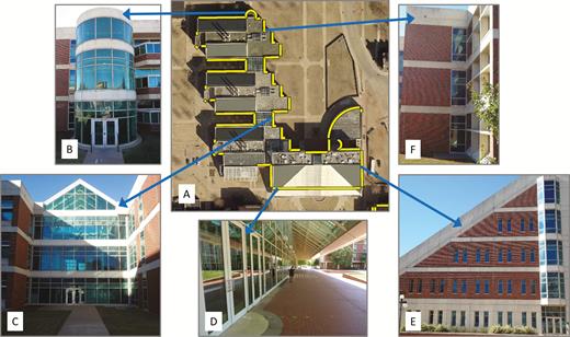 Façade type examples from one building at Oklahoma State University (OS03 – Noble Research Center) monitored for bird–window collisions 2015–2017. (A) Aerial view of one building showing façade search areas (yellow polygons); façade perimeters with no search area were not monitored because they lacked windows. Façade types (described in text) included (B) convex rounds, (C) alcoves, (D) porticos, (E) flats, and (F) concave corners.