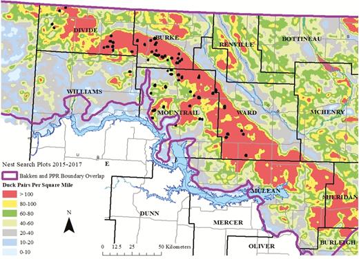 Study sites (black dots) for duck nesting research in North Dakota, USA, 2015–2017, in relation to long-term average breeding waterfowl pair densities in the Bakken region. Duck pair accessibility data were obtained from the Habitat and Population Evaluation Team (U.S. Fish and Wildlife Service) derived from models similar to Reynolds et al. (2006).