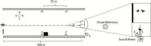 Overhead view of experimental arena including launch site (star), pilot blind (square), launch assistant blind (black rectangle), sunflower (gray rectangles), visual markers (white diamonds), drone approach path (dotted arrow line), and cameras (gray arrow boxes). The area around the enclosure holding the focal and companion birds is magnified for clarification. A disc used for visual reference was located 10.3 m away from the perch. We measured drone speed by recording the time required for each drone to travel 75 m between visual markers opposite cameras 1 and 2. Camera 3 recorded drone position relative to the enclosure. Cameras 4 and 5 recorded Red-winged Blackbird behavior during trials.