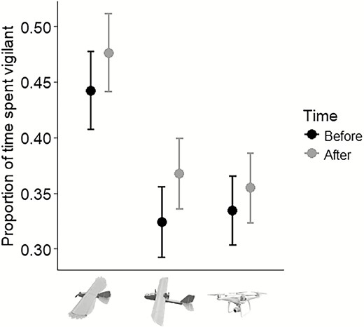 Proportion of time (30 s sampling interval) Red-winged Blackbirds spent vigilant both before and after drone flights in response to the predator model (n = 17), fixed-wing (n = 21), and multirotor (n = 22). We conducted trials in Cass County, North Dakota, USA, between August and September, 2017.