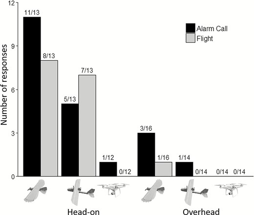 Number of Red-winged Blackbirds that alarm-called and initiated flight in response to predator model, fixed-wing, and multirotor under head-on and overhead approaches. We conducted trials in Cass County, North Dakota, USA, between August and September, 2017.