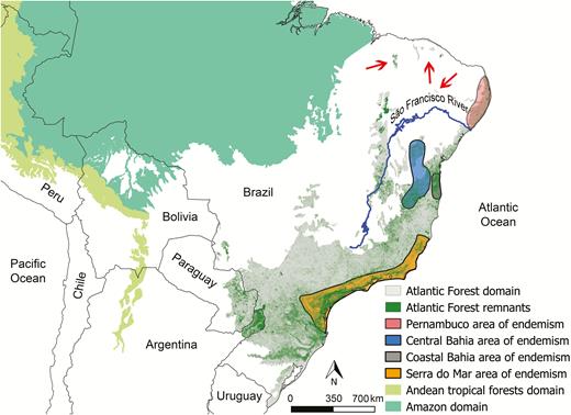 Map showing the original distribution of the Atlantic Forest domain in South America (in light gray) and the remaining vegetation in green. Remaining vegetation was compiled from different databases (M. C. Ribeiro personal communication). The original distributions of other domains with tropical forests in South America (Amazon and Andean forests; Olson et al. 2001) are also shown. Areas of bird endemism in the Atlantic Forest (Pernambuco, Central Bahia, Coastal Bahia, and Serra do Mar according to Silva et al. 2004) are represented by colored polygons. Brejos nordestinos (i.e. Atlantic Forest enclaves in the north extreme of the domain) are indicated by red arrows.