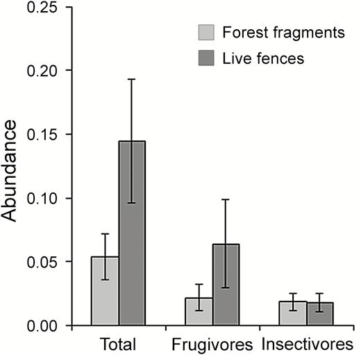The abundance (captures per 10 m2 hr–1; see Straube and Bianconi 2002 for the sampling effort unit used here) of frugivores, insectivores (both categories according to Wilman et al. 2014), and the whole community of birds (Total) sampled with 36 mm mist nests at 5 forest fragments (<1–20 ha) and 3 live fences (4–12 m width, 150–400 m long, formed by regenerating native vegetation) connecting them at a fragmented landscape of the semi-deciduous Atlantic forest. Birds were sampled in 13 consecutive mo for a total sampling effort of 34.830 m2 hr–1 in fragments, and 14.170 m2 hr–1 in live fences. Vertical lines represent standard errors. (Source: V. A. Gabriel and M. A. Pizo personal communication).