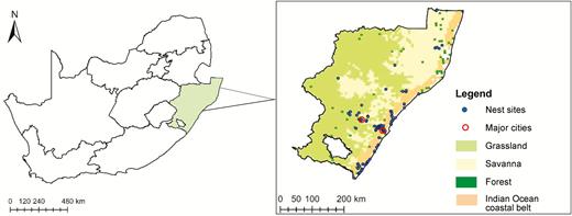 A map of South Africa, with the study area in KwaZulu-Natal Province enlarged and the biomes of the region shown. All known nest sites up until January 2017 are indicated by blue circles.